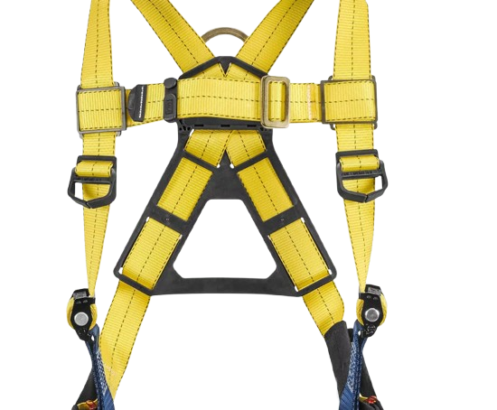 Picture of HARNESS
