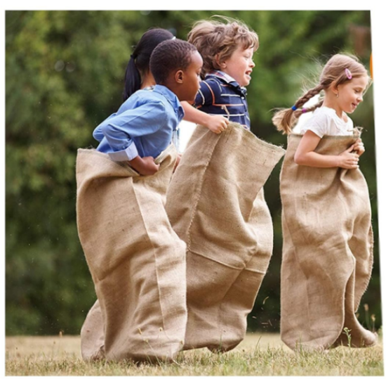 Picture of GAME, SACKS (5 BAGS)