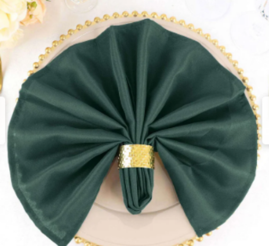 Picture of LINEN, TRC NAPKIN (HUNTER GR)