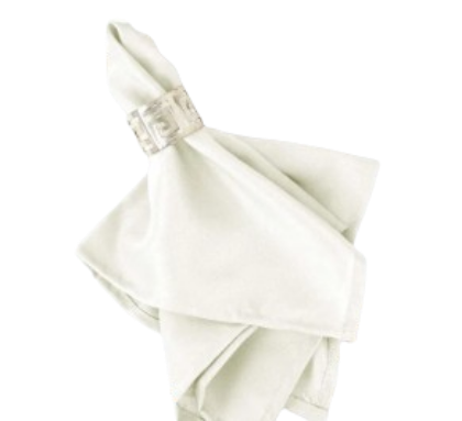 Picture for category Linen Napkin